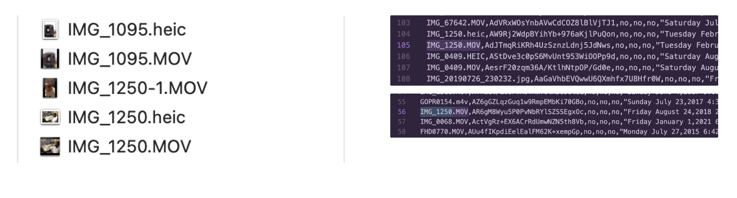 Different file extensions