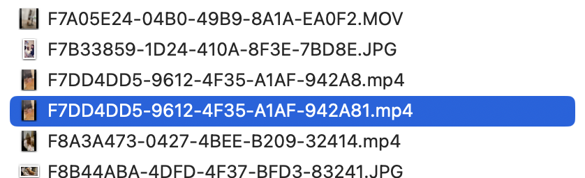 Duplicate filenames with suffixing